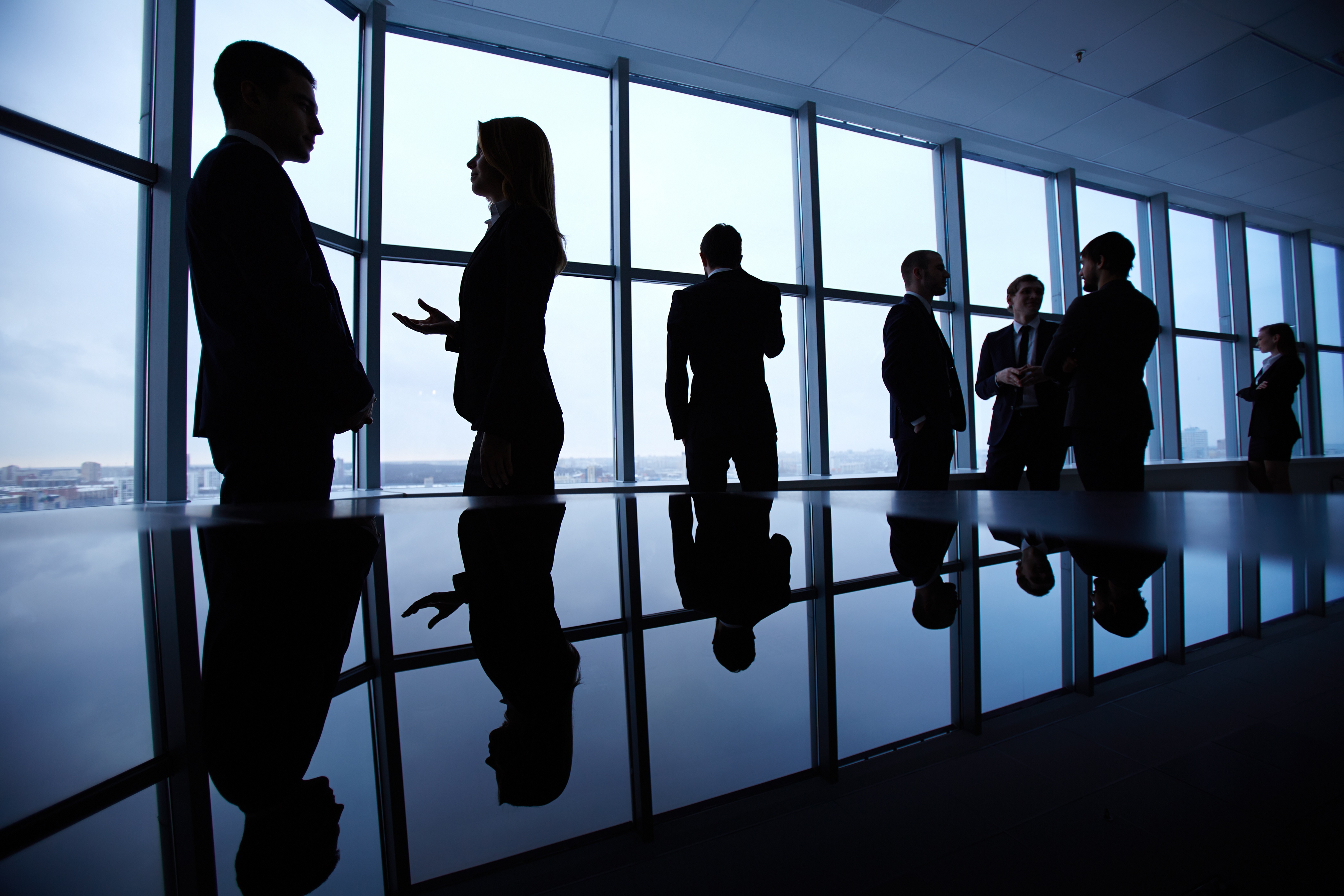 Compliance Risks and Controls for the C-Suite