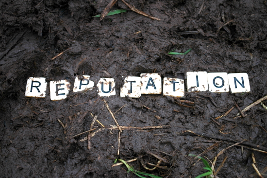 The Board and Corporate Reputation