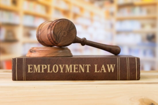 U.S. Employment Law Update